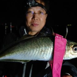 シースナイパー海龍 釣果