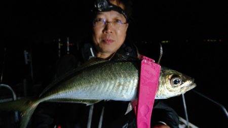 シースナイパー海龍 釣果