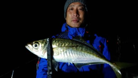 シースナイパー海龍 釣果