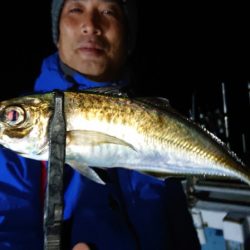 シースナイパー海龍 釣果