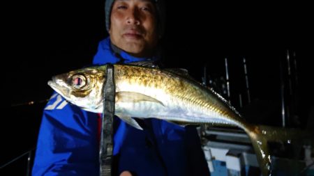 シースナイパー海龍 釣果