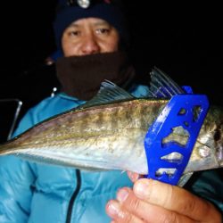 シースナイパー海龍 釣果