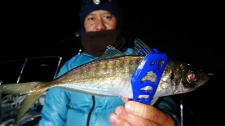 シースナイパー海龍 釣果