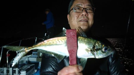 シースナイパー海龍 釣果