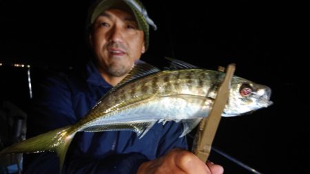 シースナイパー海龍 釣果