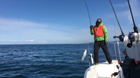 うさぎ丸 釣果