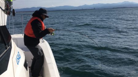 うさぎ丸 釣果