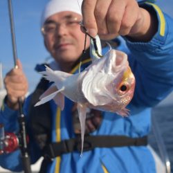 渡船屋たにぐち 釣果