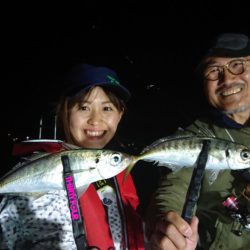 シースナイパー海龍 釣果