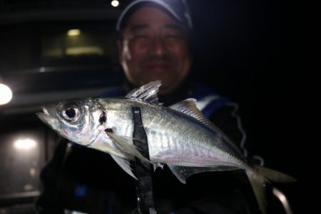 シースナイパー海龍 釣果