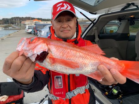 ぽん助丸 釣果