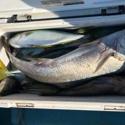 丸万釣船 釣果