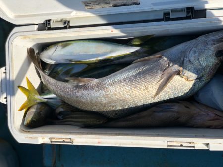 丸万釣船 釣果