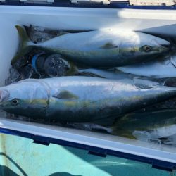 丸万釣船 釣果