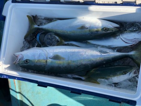 丸万釣船 釣果