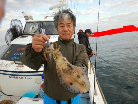 きずなまりん 釣果