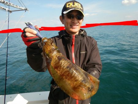 きずなまりん 釣果