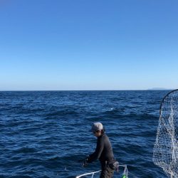 海友丸 釣果