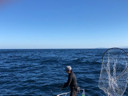 海友丸 釣果