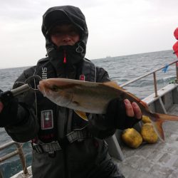 ありもと丸 釣果