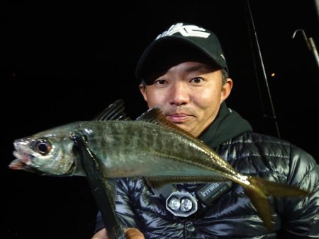 シースナイパー海龍 釣果