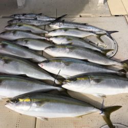 大雄丸 釣果