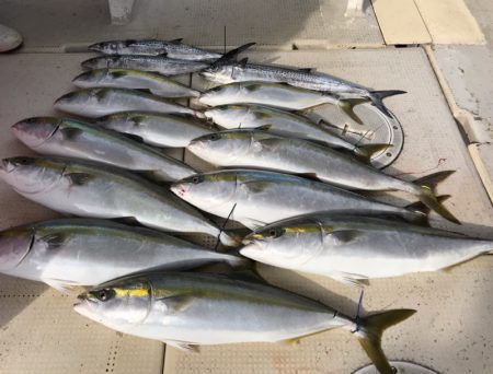 大雄丸 釣果