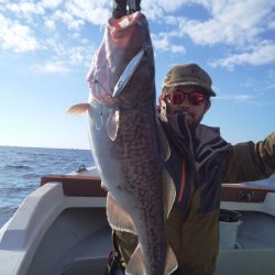 ひな丸 釣果