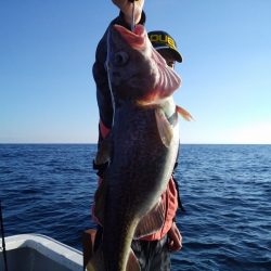 ひな丸 釣果