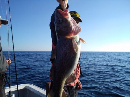 ひな丸 釣果