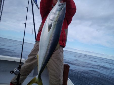 ひな丸 釣果