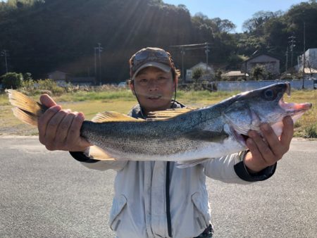 WING 釣果