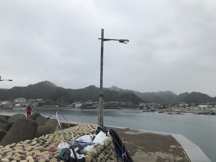 フカセ釣りin千葉県富浦港