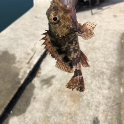 投げ釣りとワーム釣り