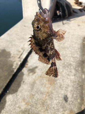 投げ釣りとワーム釣り