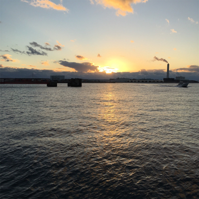 大阪湾奥アジング 釣り納め