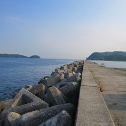 【サバ爆釣】ショアジグでサバ爆釣