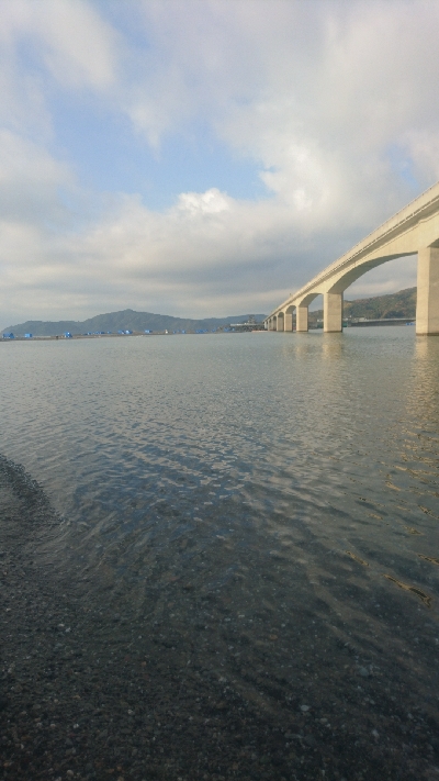 仁淀川河口サーフショアジギング