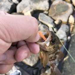 投げ釣りとワーム釣り