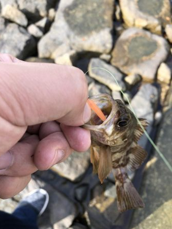 投げ釣りとワーム釣り