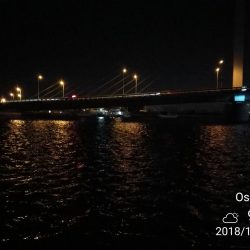 南港カモメ大橋 釣行 （渋かった～タチウオ釣り、F3釣果）