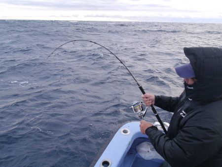 松鶴丸 釣果