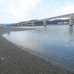 仁淀川河口サーフショアジギング
