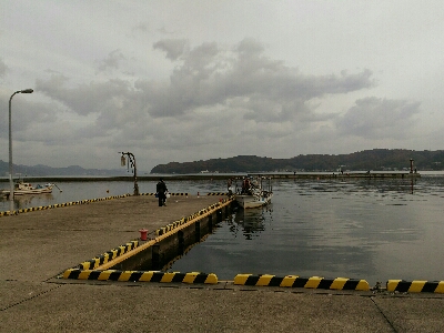 宮津湾内にて船釣り