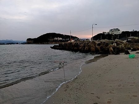 何とか　一杯!!