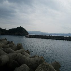 グレ釣り　～良く釣れた♪アジも出た♪～