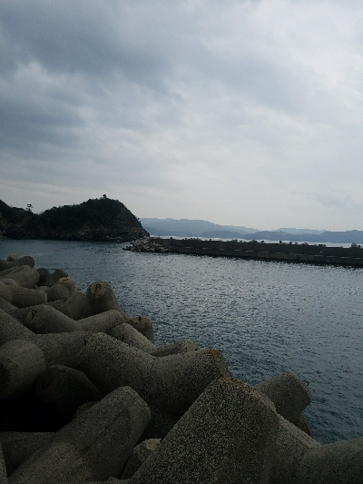 グレ釣り　～良く釣れた♪アジも出た♪～