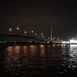南港カモメ大橋 釣行 （寒さ緩む日でタチウオ3本釣果有り）