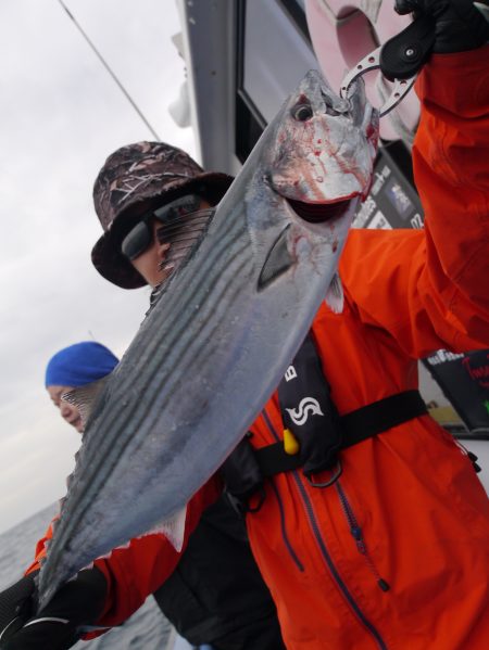 松鶴丸 釣果