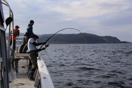 武蔵丸 釣果